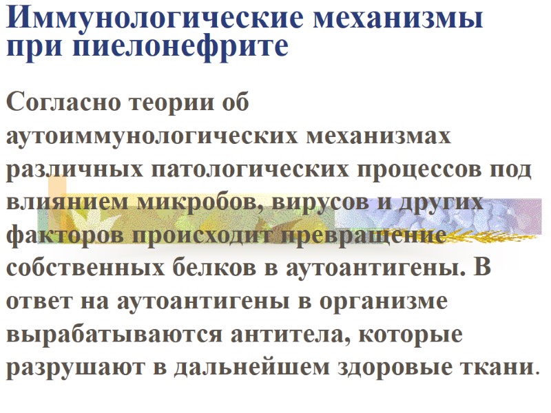 Иммунологические механизмы при пиелонефрите   Согласно теории об аутоиммунологических механизмах различных патологических процессов